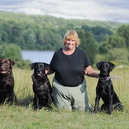 Labrador Retrievers from Pleasant Pine Labrador Retrievers