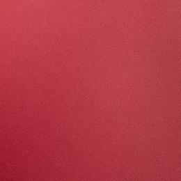 Toby - Brindle male Dachshund puppy in Lake City, Florida from My Ditzy Doxies of Florida