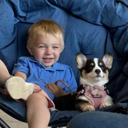 Pembroke Welsh Corgi Puppies from Rhone River Farm Pembroke Welsh Corgis