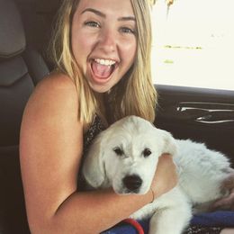 Golden Retriever Puppies from Dry Canyon Goldens