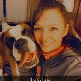 Boxer Puppies from Sand Creek Boxer Kennel