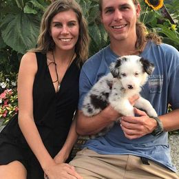 Australian Shepherd Puppies from Adams Family Aussies