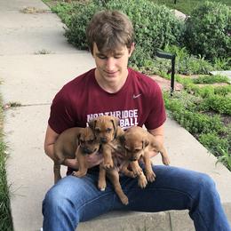 Rhodesian Ridgebacks from Penny's Puppies (Rhodesian Ridgeback)