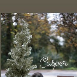 Neapolitan Mastiff and Tibetan Mastiff Puppies from Carolina Coastal Mastinos
