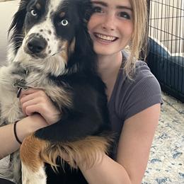 Australian Shepherd Puppies from J&J Aussies