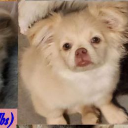 Max - Mi-Ki