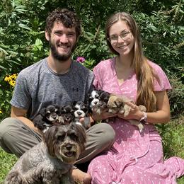 Miniature Schnauzers from Arsement Farms