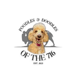 Cupcake - Poodle