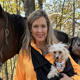 Boykin Spaniels, Chinese Cresteds, and Poodles from Jushae Kennel