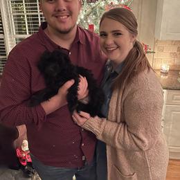 Goldendoodle Puppies from Timberland Falls Goldendoodles