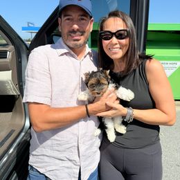 Biewer Terrier and Yorkshire Terrier Puppies from South Georgia Yorkies and Biewers