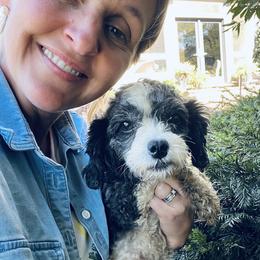 Pepper - Cavapoo