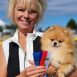 Empress - Pomeranian