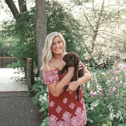 Goldendoodle, Golden Retriever, and Labrador Retriever Puppies from Cornerstone Kennels