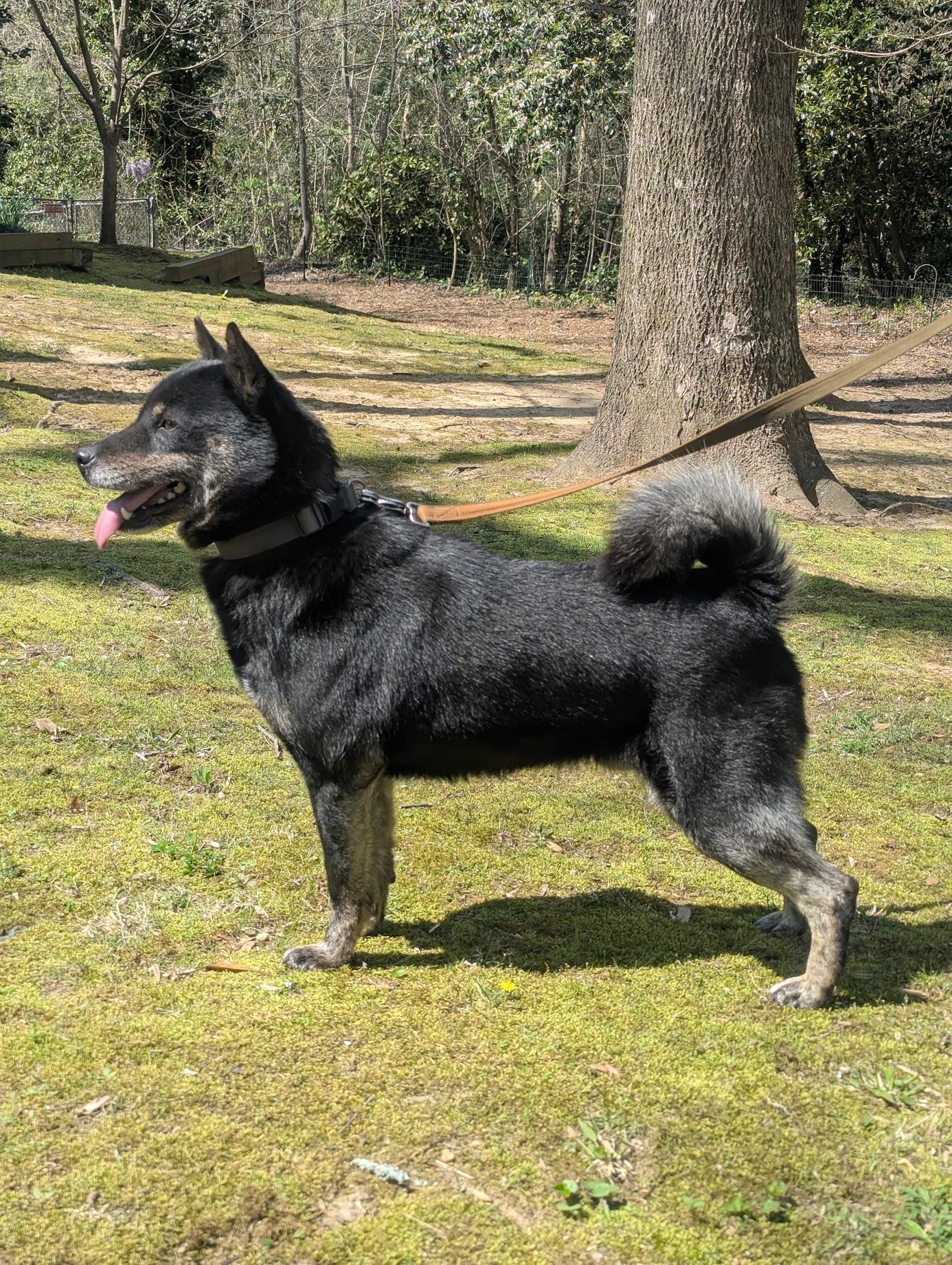 Kuro