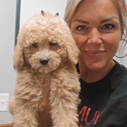 Goldfish - Yellow and white female Bernedoodle puppy in Cleveland, Georgia from Jam's Doodles And Poodles