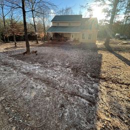 Goldendoodle Puppies from FurEver Friends Doodles