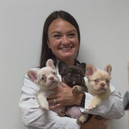 French Bulldogs and Yorkshire Terriers from Twinkle Paws Frenchies and Yorkies