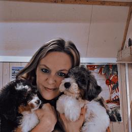 Assorted Doodle Crosses, Bernedoodle, and Shichon Puppies from Shondel Puppy Paws