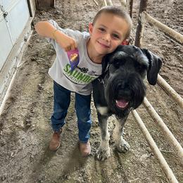 Giant Schnauzer Puppies from House of Roth Giant Schnauzers