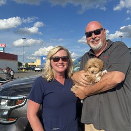 Maltipoo and Poodle Puppies from GG’s Maltipoos and Toy Poodles