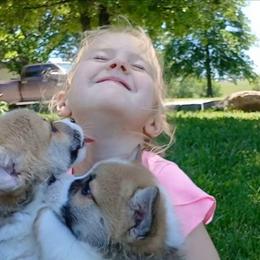 Pembroke Welsh Corgi puppies from Owenby's Corgi's