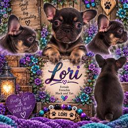 Lori - Liver female French Bulldog puppy in Holton, Indiana from MoonShine Babies / OZ