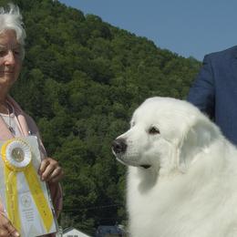 Great Pyrenees from Sue Blevens' Great Pyrenees