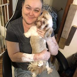 Ruby - Shih Tzu