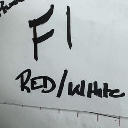 F1 - White and red female Border Collie puppy in Meridian, Mississippi from Border Hollow Border Collies