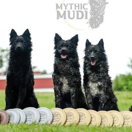 Mudis from Mythic Mudi