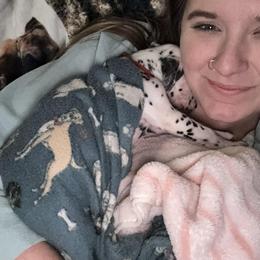 Dalmatian, Poodle, and Rhodesian Ridgeback Puppies from Ruffles, Ridges, & Spots!