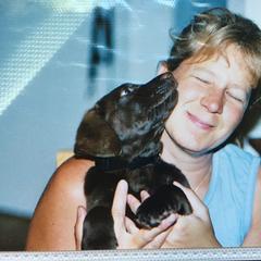 Chesapeake Bay Retriever Puppies from Wild Wood Chesapeakes