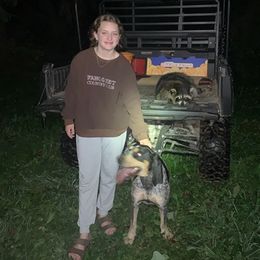 Bluetick Coonhounds from Pleasant Valley Blueticks