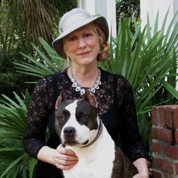 American Staffordshire Terriers from Aim High Kennels