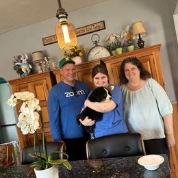 Bernese Mountain Dog Puppies from Lonesome Pine Farm