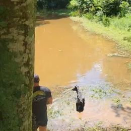 Doberman Pinscher Puppies from Morningstar Kennel