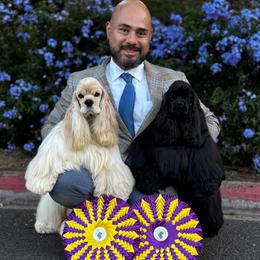 Cocker Spaniels from Arquivolta Kennel