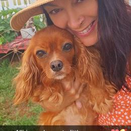 Allura - Cavalier King Charles Spaniel