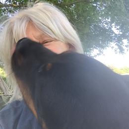 Rottweiler All Grown Up from Sweetgum Farm