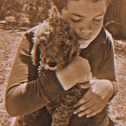 Poodle Puppies from CAStandardPoodles