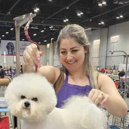 Maya - Bichon Frise
