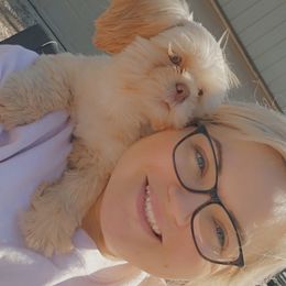 Pablo - Shih Tzu
