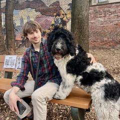 Newfoundland, Newfypoo, and Sheepadoodle All Grown Up from Sweet Creek Pups