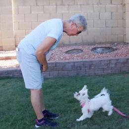 Maltese Puppies from ARIZONA MALTEE GEMS