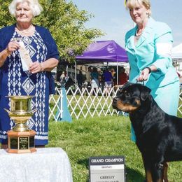 Rottweilers from Spirit Mountain Rottweilers