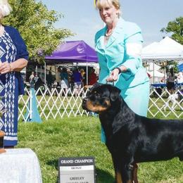 Rottweilers from Spirit Mountain Rottweilers