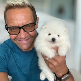 Diana - White female Pomeranian puppy in Charlotte, North Carolina from Kouture Pomeranians