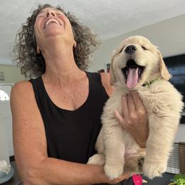 Golden Retriever Puppies from Golden Hour Golden Retrievers