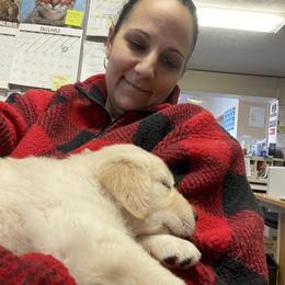 Golden Retriever Puppies from Ruff Life Goldens